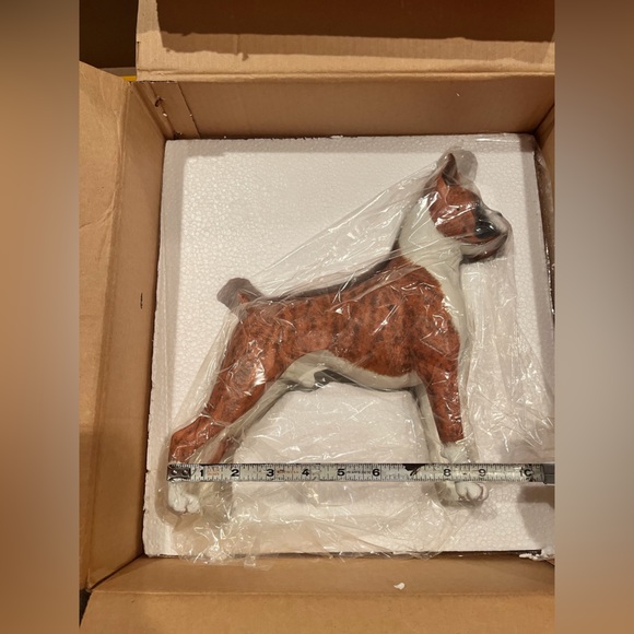 Never displayed, beautiful Boxer model. - Picture 6 of 9